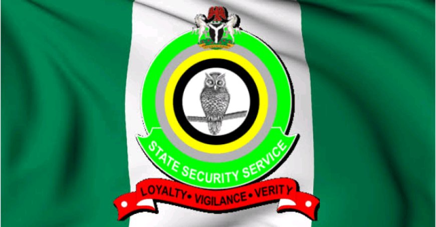 Emefiele: DSS Uncovers Planned Negative Campaign Against FG